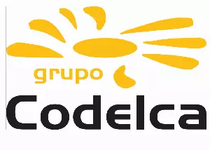 codelca Sporting Club Requena